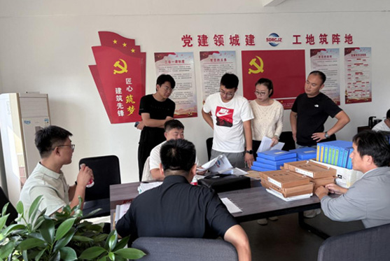 省檢查組對碧桂園?梧桐府開展企業資質…